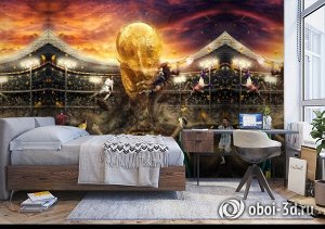 3D Фотообои «Битва за футбольный кубок»