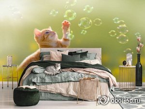 3D Фотообои «Рыжий кот с мыльными пузырями»