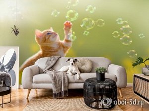 3D Фотообои «Рыжий кот с мыльными пузырями»