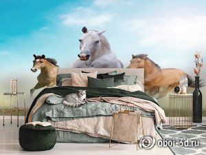3D Фотообои «Лошади в дикой природе»