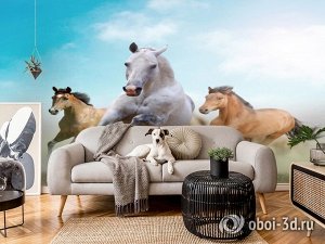 3D Фотообои «Лошади в дикой природе»