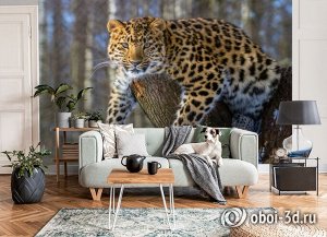 3D Фотообои «Амурский леопард»