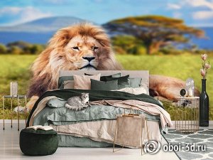 3D Фотообои  «Лев»