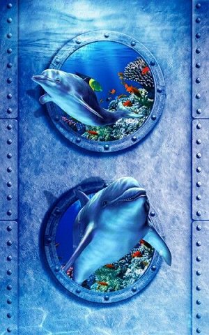 3D Фотообои «Иллюминаторы с дельфинами»
