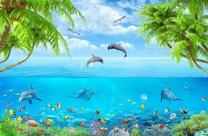 Design Studio 3D 3D Фотообои «Дельфины над водой»
