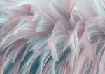 3D Фотообои «Невесомое блаженство»