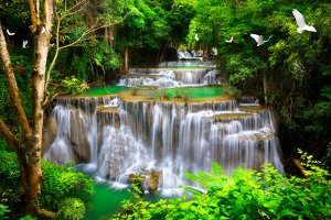 Фотообои Водопад с журавлями