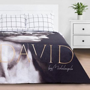 Постельное белье 2 сп David 175*215 см, 200*220 см, 50*70 см - 2 шт