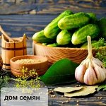 Семена овощей. Экономь на скидках