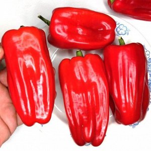 Перец Красный Бриллиант — Red Diamond