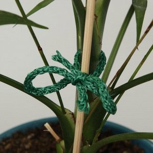 Шнур для подвязки растений, 50 м, зелёный, Greengo