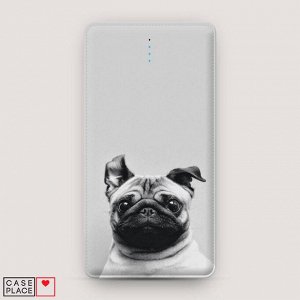 Power bank 10000 mАh Ушастый мопс