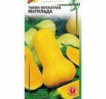 Семена Тыква мускатная &quot;Матильда&quot; select, 10 шт
