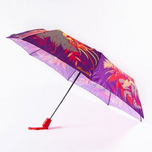 Зонт женский Классический полуавтомат [43614-6]