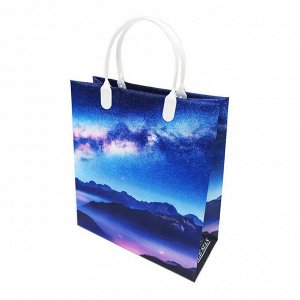 Пакет сумка размер 23*26см "Ночное небо"