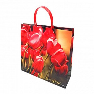 Пакет сумка размер 30*30см "Красные тюльпаны"