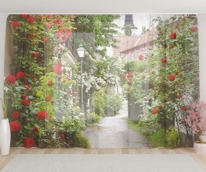Фототюль Улочка с красными розами
