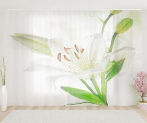 Фототюль Красивые белые лилии
