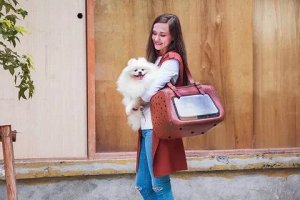 Ibiyaya складная сумка-переноска для собак и кошек до 6 кг прозрачная/коричневая кожа