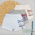 Боксеры