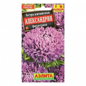 Семена цветов Астра "Александрия" фиолетовая, О, 0,1 г