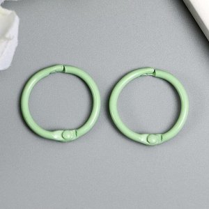 Кольца для альбомов "Айрис" 2,5 см, 2 шт, светло-зелёный