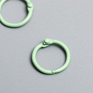 Кольца для альбомов "Айрис" 2 см, 2 шт, светло-зелёный