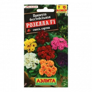 Семена цветов Примула "Розелла", смесь окрасок, F1, 7 шт