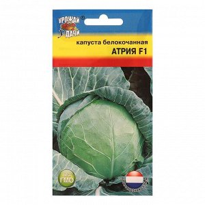 Семена Капуста белокочаная "Атрия", F1, 0,05 гр