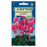 Семена цветов Цикламен &quot;Хельга&quot;, персидский, 3 шт.