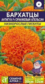 Бархатцы Антигуа Оранжевый апельсин/Сем Алт/цп 5 шт. Низкорослые гиганты