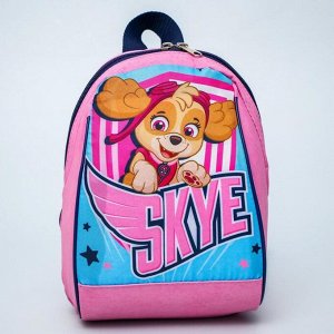 Рюкзак "Скай", 20*13*26, отд на молнии, розовый