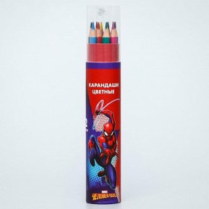 MARVEL Карандаши цветные с точилкой в тубусе, 12 цветов, &quot;Супергерой&quot;, Человек-Паук