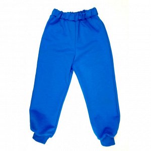 Спортивные штаны 381/43 (голубые)