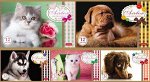 Альбом для рисования А5 12л &quot;Sweet pets&quot; (051883) Хатбер
