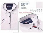 142+1SBRs** Рубашка мужская приталенная Brostem