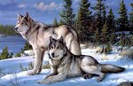 3D Ковры. Тематические. Животные