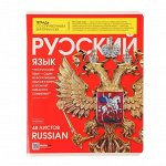 Дневник школьный Alingar 1-11 кл., 40л., 7БЦ, матовая ламинация,  выб. УФ лак, 17,0 см. * 21,6  см, &quot;Kittens&quot;