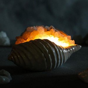 Соляная лампа "Раковина Перламутр", 17 см