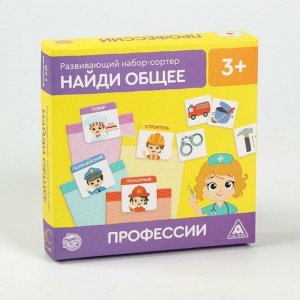 Развивающий набор-сортер «Найди общее. Профессии», 3+