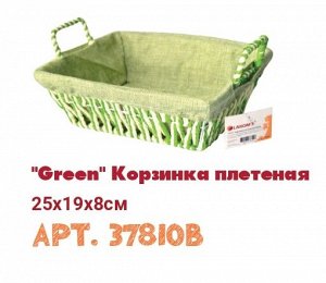 "Green" Корзинка плетеная 25x19x8см B37810 ВЭД