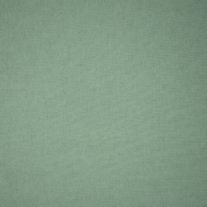 Ткань футер 3-х нитка диагональный цвет светло-зеленый
