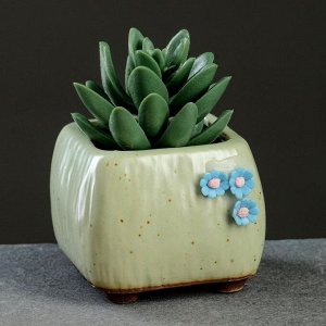 Кашпо керамическое "Куб с цветами" зеленое, 6*5см