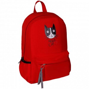 Рюкзак ArtSpace Style "Hero Cat", 42*27*11см, 1 отделение, 3 кармана, уплотн. спинка