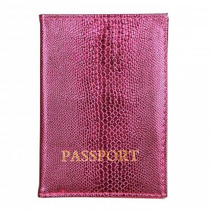 PAVO Обложка для паспорта, ПВХ, 10х14см, 5 цветов, арт.DC2016-02