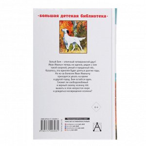 АСТ Книга "Большая детская библиотека", бумага, 352 стр., 13х20,5см, 4 дизайна
