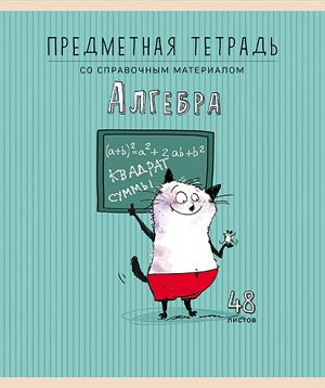 Тетрадь 48л А5 Скрепка Клетка/Линия Приключения кота Пифа - Алгебра