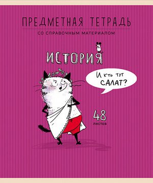 Тетрадь 48л А5 Скрепка Клетка Приключения кота Пифа - История