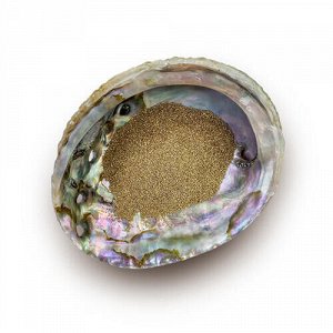 Пепельница-раковина мексиканский "Абалон" с песком