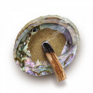 Пепельница-раковина мексиканский "Абалон" с песком